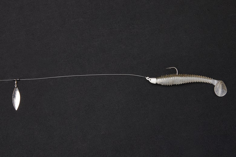 Inline Spinner and Paddle Tail Swimbait